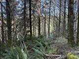 0 Floras Creek Rd - Photo 14