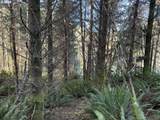 0 Floras Creek Rd - Photo 15