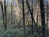 0 Floras Creek Rd - Photo 16