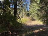0 Floras Creek Rd - Photo 18