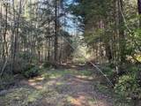 0 Floras Creek Rd - Photo 19