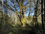 0 Floras Creek Rd - Photo 21