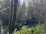 0 Floras Creek Rd - Photo 27