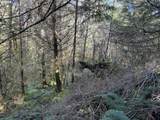 0 Floras Creek Rd - Photo 8