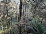 0 Floras Creek Rd - Photo 9