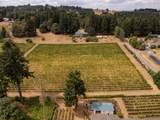 10420 Hillview Dr - Photo 32
