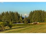 31155 Laurelview Rd - Photo 46