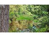  Gordon Creek Rd - Photo 15