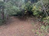 0 Potato Bottom Rd - Photo 15