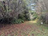 0 Potato Bottom Rd - Photo 19