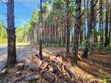  Kreiger Ln - Photo 4