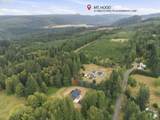 51975 Terra Fern Dr - Photo 47