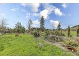 85255 Christensen Rd - Photo 15