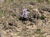  Hoctor - Photo 10