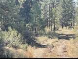  Canary Dr - Photo 36