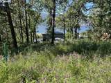  Coyote Ct - Photo 4