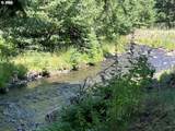 62254 Wallowa Mtn Loop Rd - Photo 24