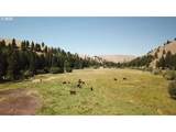62254 Wallowa Mtn Loop Rd - Photo 7