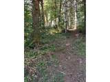 71364 Shore Dr - Photo 3