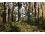 41057 Vista Loop Dr - Photo 4