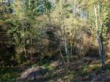 39335 Trout Creek Rd - Photo 34