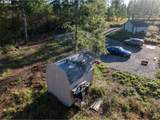 39335 Trout Creek Rd - Photo 35
