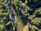 39335 Trout Creek Rd - Photo 38