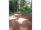 501 Carpenter Bypass Rd - Photo 11