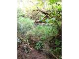 501 Carpenter Bypass Rd - Photo 13