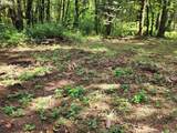 501 Carpenter Bypass Rd - Photo 15