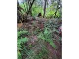 501 Carpenter Bypass Rd - Photo 16