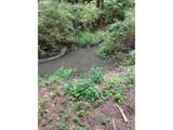501 Carpenter Bypass Rd - Photo 2