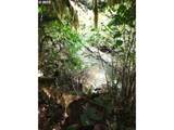 501 Carpenter Bypass Rd - Photo 3