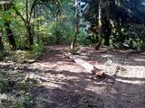 501 Carpenter Bypass Rd - Photo 5