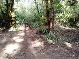 501 Carpenter Bypass Rd - Photo 6