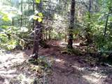 501 Carpenter Bypass Rd - Photo 8