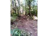 501 Carpenter Bypass Rd - Photo 9