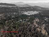 31367 Clarks Creek Rd - Photo 43