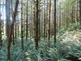  State Hwy 4 - Photo 10