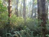  State Hwy 4 - Photo 11