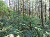  State Hwy 4 - Photo 16