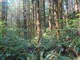  State Hwy 4 - Photo 5