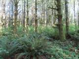  State Hwy 4 - Photo 6
