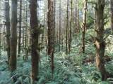  State Hwy 4 - Photo 7