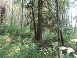  State Hwy 4 - Photo 9