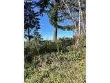  Rhody Dr - Photo 10