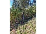  Rhody Dr - Photo 11