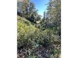  Rhody Dr - Photo 9