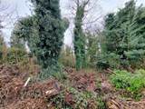 0 Cherry Rd - Photo 10