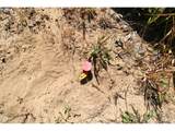 765 Edwards - Photo 9